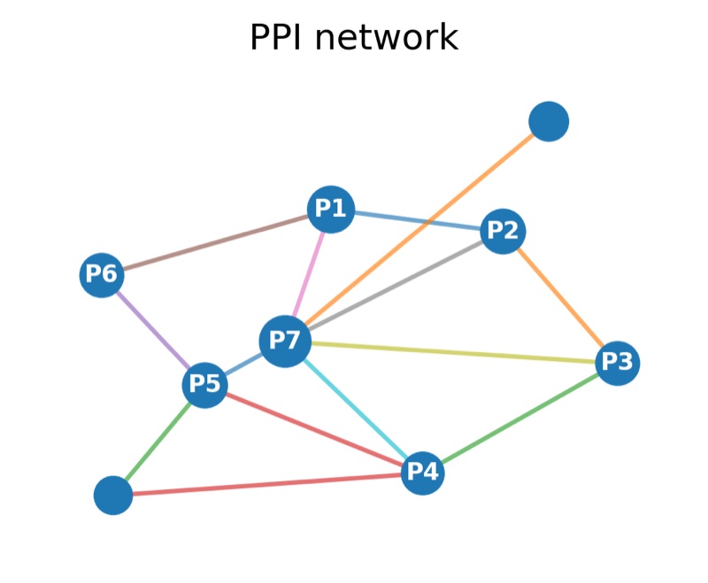 PPI 网络